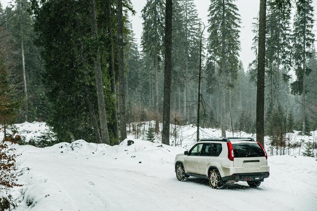Wagon Review: 2025 Volvo V60 Cross Country – All-Weather AWD