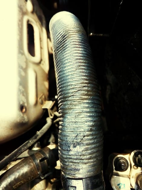 A mechanic inspecting a car's radiator hose for cracks and wear. The focus is on the mechanic's hands and the hose, with the engine bay visible in the background, illustrating the importance of inspecting these components.