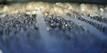 Car Wash Secrets: Your Ultimate Guide to Pro-Level Cleaning - Cover Image