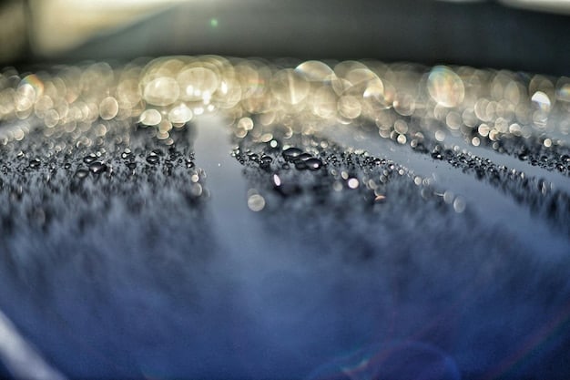 Car Wash Secrets: Your Ultimate Guide to Pro-Level Cleaning