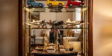 Pristine collection of scale models displayed in a protective glass cabinet, highlighting careful preservation.